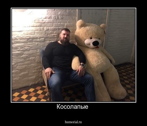 Косолапые 