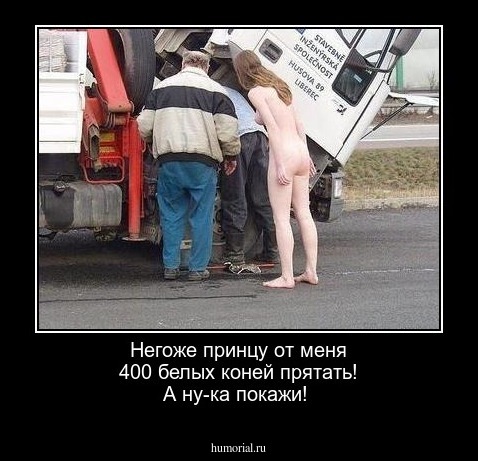 Негоже принцу от меня 400 белых коней прятать! А ну-ка покажи!