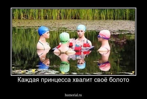 Каждая принцесса хвалит своё болото