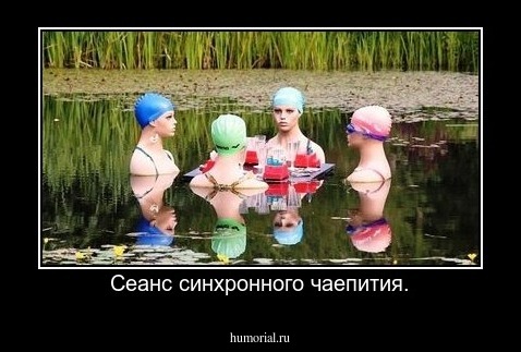Сеанс синхронного чаепития.