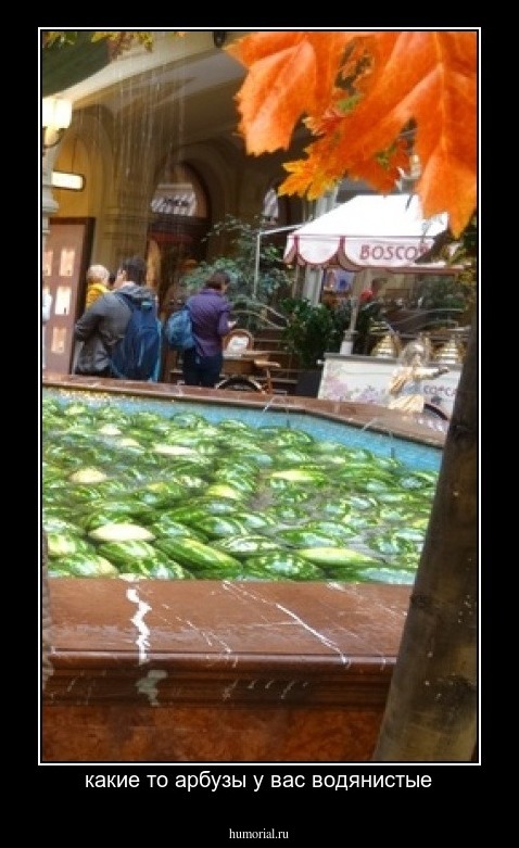 какие то арбузы у вас водянистые