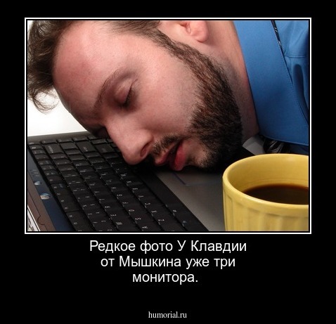 Редкое фото У Клавдии от Мышкина уже три монитора.