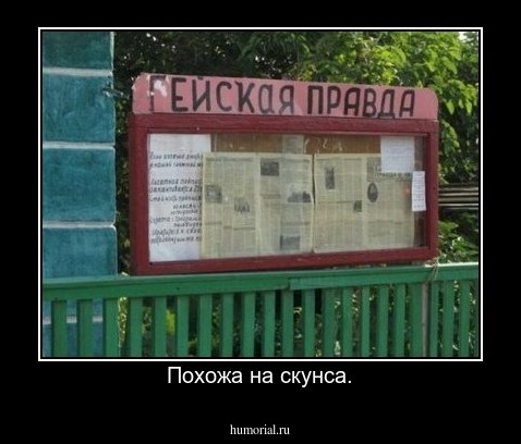 Похожа на скунса.