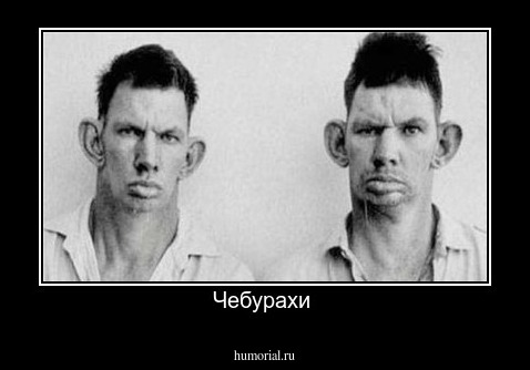 Чебурахи 