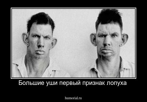 Большие уши первый признак лопуха 