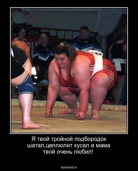 Я твой тройной подбородок шатал,целлюлит кусал и мама твой очень любил!