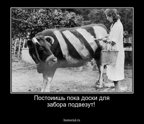 Постоиишь пока доски для забора подвезут!