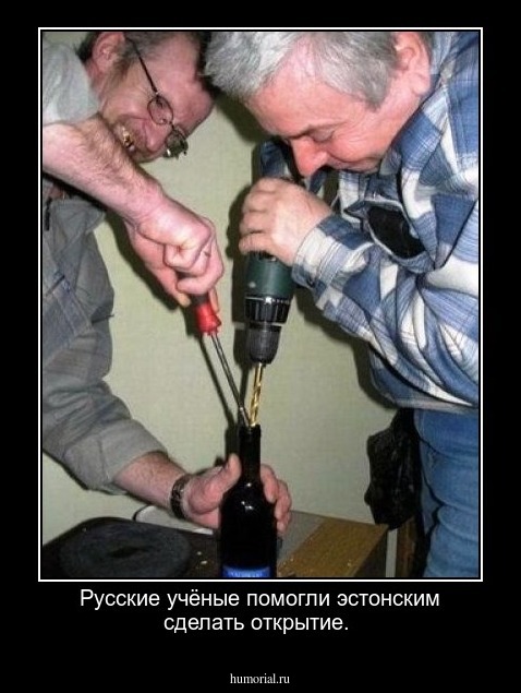 Русские учёные помогли эстонским сделать открытие.