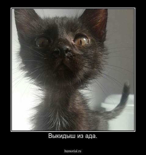 Выкидыш из ада.