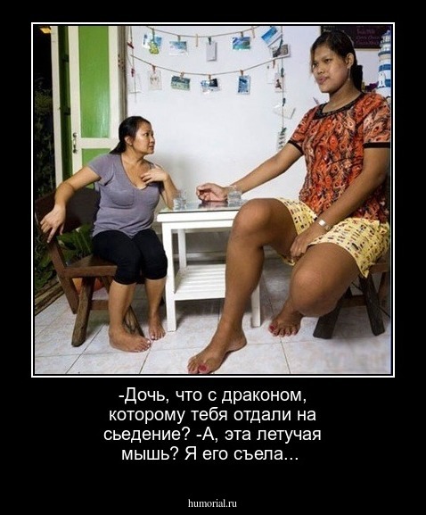-Дочь, что с драконом, которому тебя отдали на сьедение?
-А, эта летучая мышь? Я его съела... 