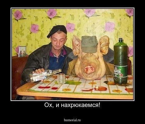 Ох, и нахрюкаемся!