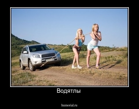Водятлы 