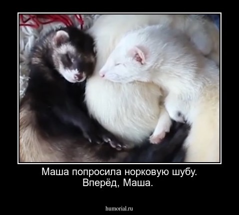 Маша попросила норковую шубу. Вперёд, Маша.