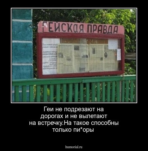 Геи не подрезают на дорогах и не вылетают на встречку.На такое способны только пи*оры