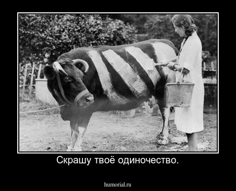 Скрашу твоё одиночество.