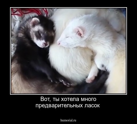 Вот, ты хотела много предварительных ласок