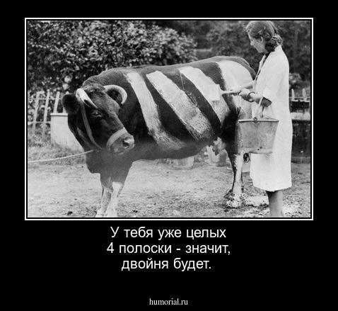 У тебя уже целых 4 полоски - значит, двойня будет.