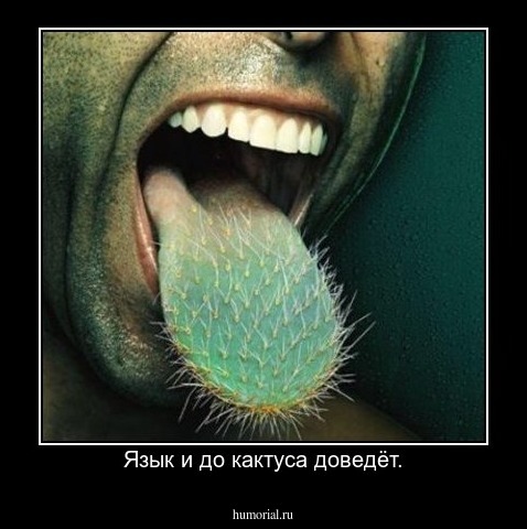 Язык и до кактуса доведёт.