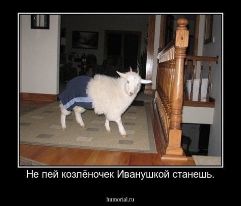 Не пей козлёночек Иванушкой станешь.