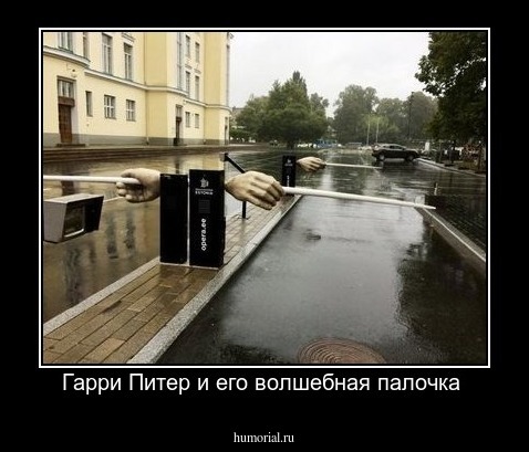 Гарри Питер и его волшебная палочка 