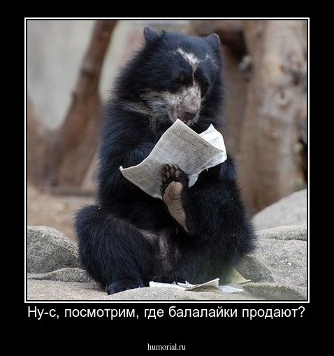 Ну-с, посмотрим, где балалайки продают?