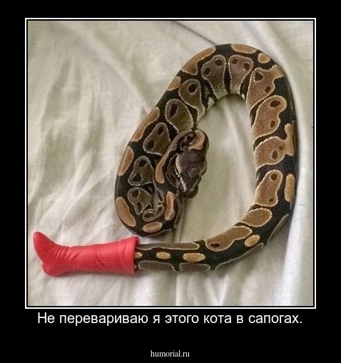 Не перевариваю я этого кота в сапогах.