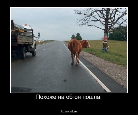 Похоже на обгон пошла.