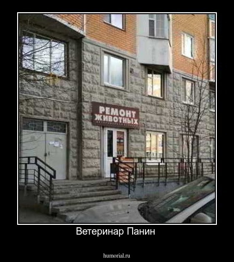 Ветеринар Панин 