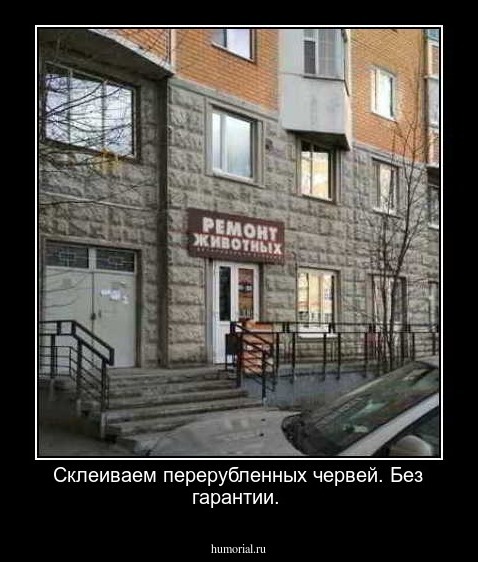 Склеиваем перерубленных червей. Без гарантии.