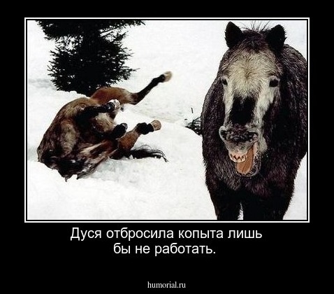 Дуся отбросила копыта лишь бы не работать.