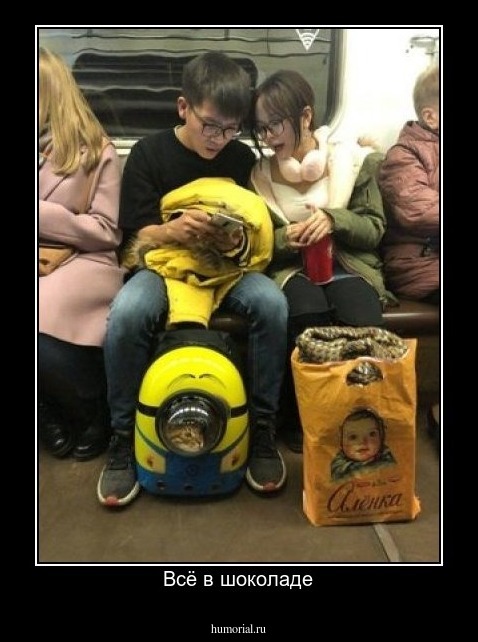 Всё в шоколаде