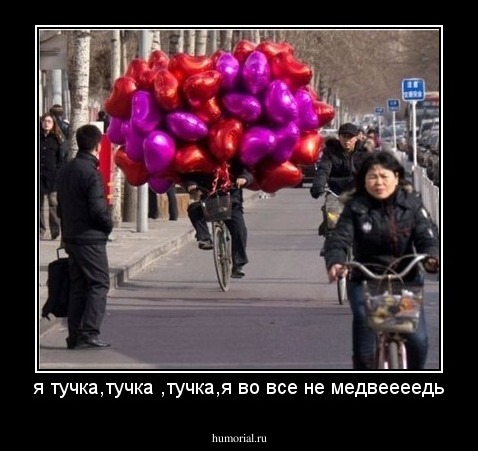 я тучка,тучка ,тучка,я во все не медвеееедь