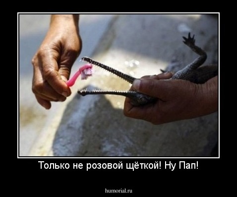 Только не розовой щёткой! Ну Пап!