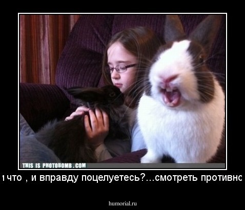 и что , и вправду поцелуетесь?...смотреть противно!