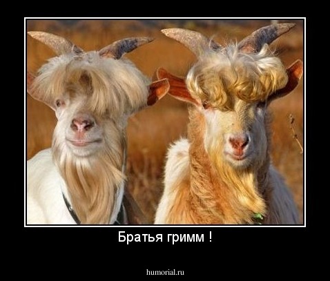 Братья гримм !