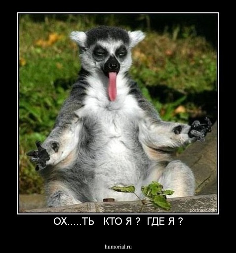 ОХ.....ТЬ   КТО Я ?  ГДЕ Я ?