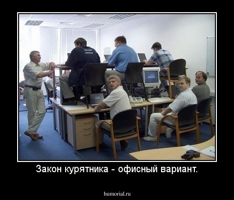 Закон курятника - офисный вариант.