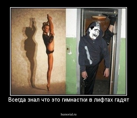 Всегда знал что это гимнастки в лифтах гадят
