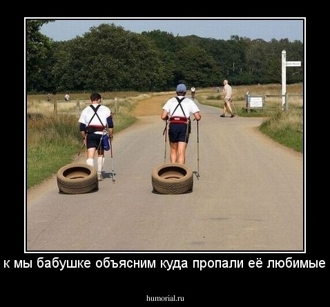 Пап, а как мы бабушке объясним куда пропали её любимые клумбы?