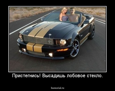 Пристегнись! Высадишь лобовое стекло.