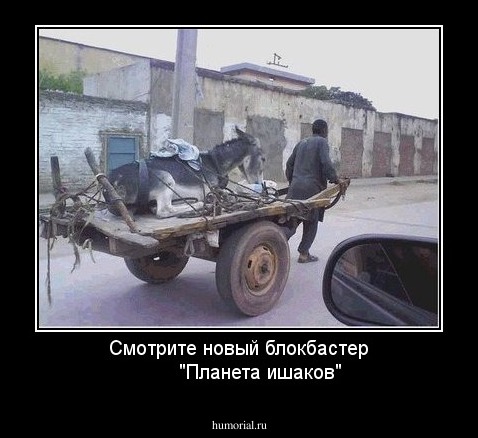Смотрите новый блокбастер
       "Планета ишаков"