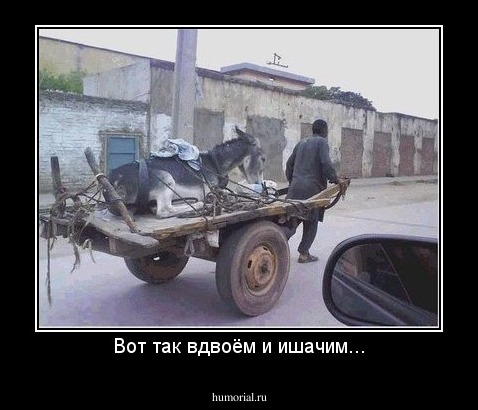 Вот так вдвоём и ишачим...
