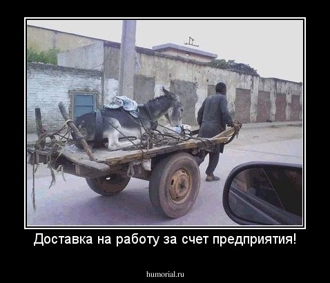 Доставка на работу за счет предприятия!