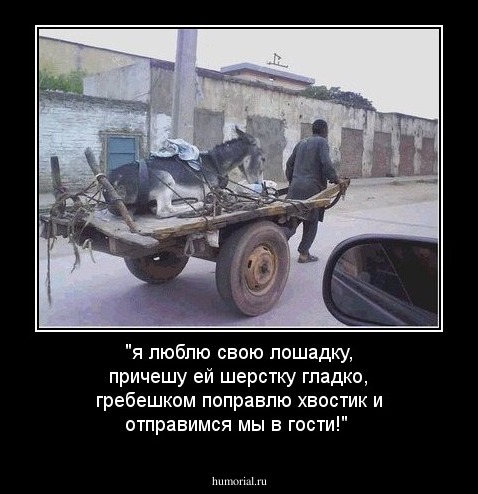 "я люблю свою лошадку, причешу ей шерстку гладко, гребешком поправлю хвостик и отправимся мы в гости!"
