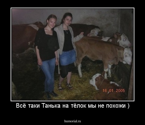 Всё таки Танька на тёлок мы не похожи )