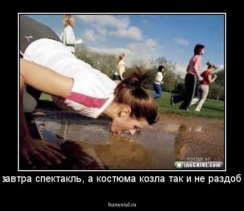 Так, завтра спектакль, а костюма козла так и не раздобыли. 