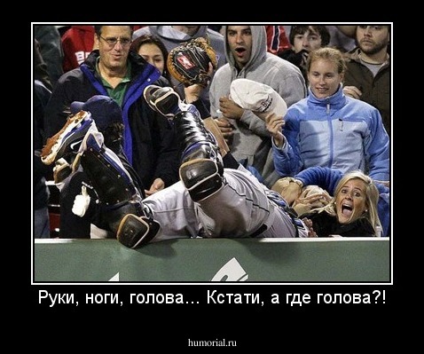 Руки, ноги, голова... Кстати, а где голова?!