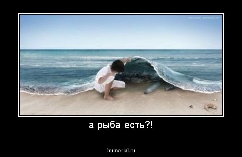 а рыба есть?!
