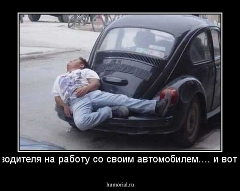Искал водителя на работу со своим автомобилем.... и вот нашел!