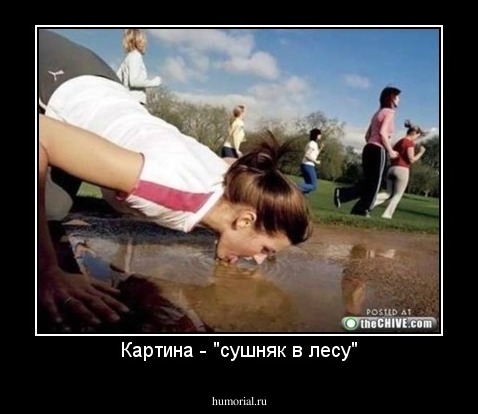 Картина - "сушняк в лесу"